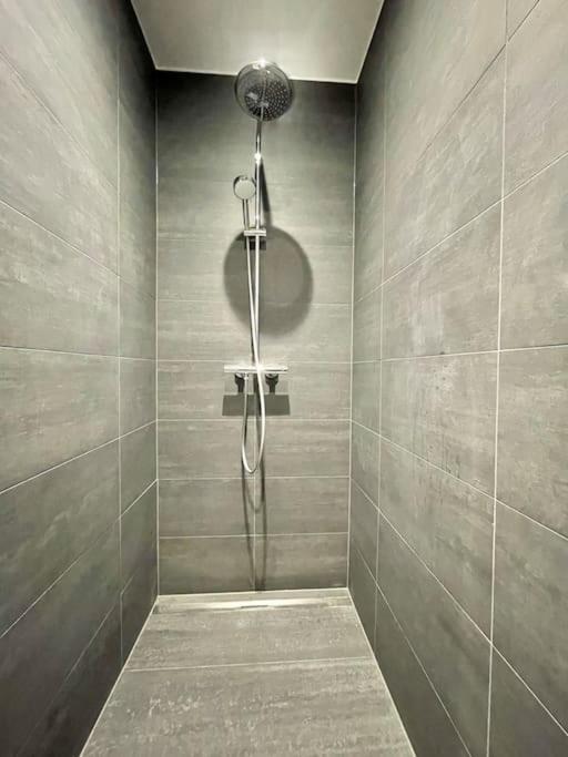 New & Large 1 Bedroom In Center-terrace & Parking - 142-100 Apartment *